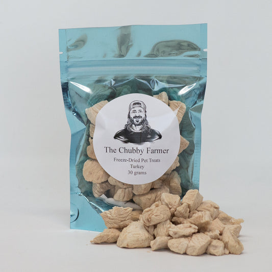 Turkey - Freeze-Dried Pet Treats - 30 grams
